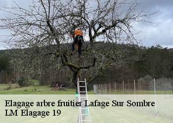 Elagage arbre fruitier lafage-sur-sombre-19320 LM Elagage 19