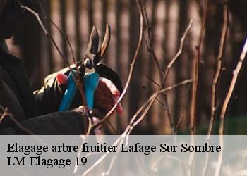Elagage arbre fruitier 19320