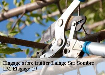 Elagage arbre fruitier 19320
