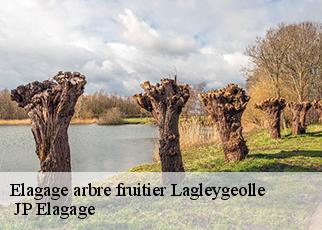 Elagage arbre fruitier lagleygeolle-19500 JP Elagage