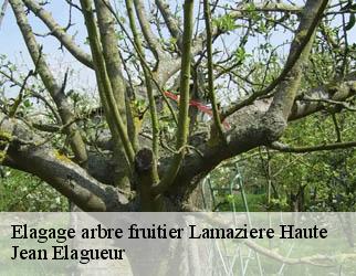 Elagage arbre fruitier lamaziere-haute-19340 Jean Elagueur