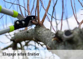 Elagage arbre fruitier