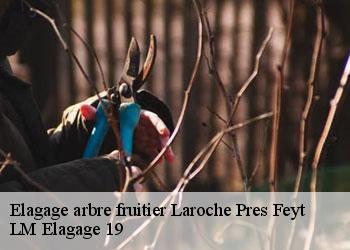Elagage arbre fruitier 19340