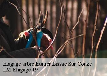 Elagage arbre fruitier  19600
