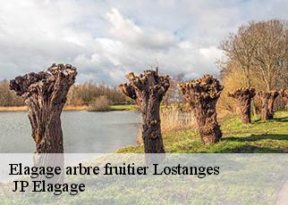 Elagage arbre fruitier lostanges-19500 JP Elagage