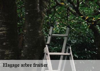 Elagage arbre fruitier 19500