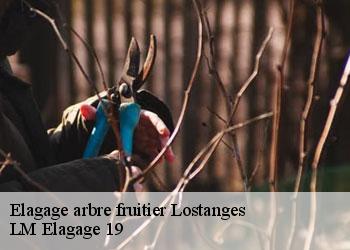 Elagage arbre fruitier 19500