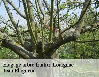 Elagage arbre fruitier louignac-19310 Jean Elagueur