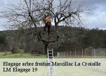 Elagage arbre fruitier marcillac-la-croisille-19320 LM Elagage 19