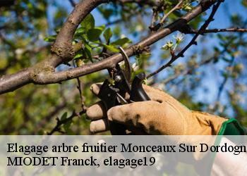 Elagage arbre fruitier  monceaux-sur-dordogne-19400 MIODET Franck, elagage19
