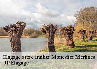 Elagage arbre fruitier  monestier-merlines-19340 MIODET Franck, elagage19