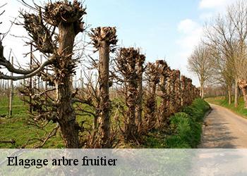 Elagage arbre fruitier