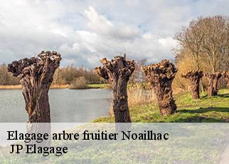 Elagage arbre fruitier noailhac-19500 JP Elagage