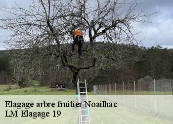 Elagage arbre fruitier  noailhac-19500 LM Elagage 19