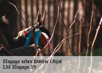 Elagage arbre fruitier  19130