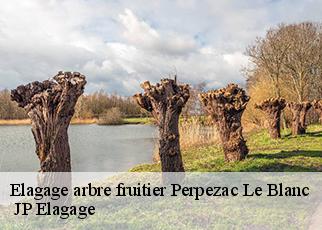 Elagage arbre fruitier perpezac-le-blanc-19310 JP Elagage
