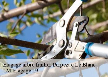 Elagage arbre fruitier 19310