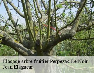 Elagage arbre fruitier perpezac-le-noir-19410 Jean Elagueur