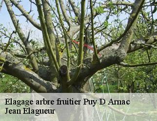 Elagage arbre fruitier puy-d-arnac-19120 Jean Elagueur
