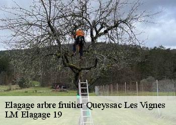 Elagage arbre fruitier queyssac-les-vignes-19120 LM Elagage 19