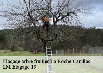 Elagage arbre fruitier  la-roche-canillac-19320 LM Elagage 19