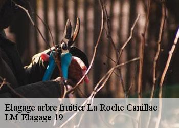 Elagage arbre fruitier  19320