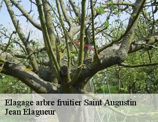 Elagage arbre fruitier saint-augustin-19390 Jean Elagueur