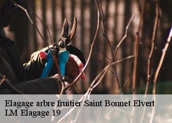 Elagage arbre fruitier  19380