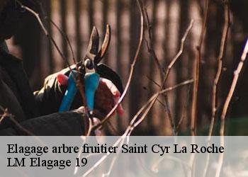 Elagage arbre fruitier 19130