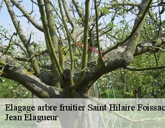 Elagage arbre fruitier saint-hilaire-foissac-19550 Jean Elagueur