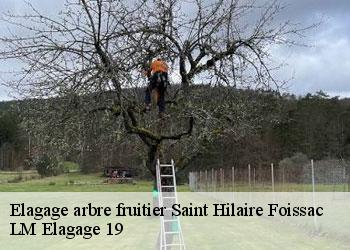 Elagage arbre fruitier saint-hilaire-foissac-19550 LM Elagage 19