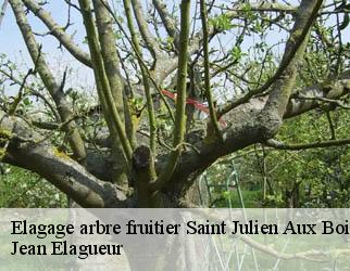 Elagage arbre fruitier saint-julien-aux-bois-19220 Jean Elagueur