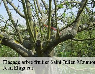 Elagage arbre fruitier saint-julien-maumont-19500 Jean Elagueur