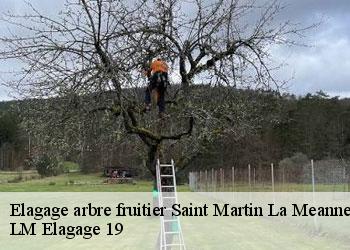 Elagage arbre fruitier saint-martin-la-meanne-19320 LM Elagage 19