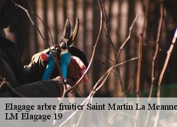 Elagage arbre fruitier 19320