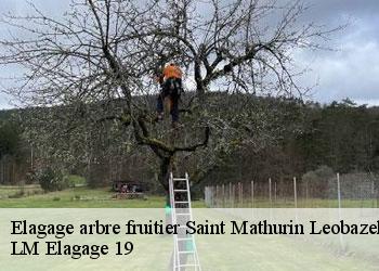 Elagage arbre fruitier saint-mathurin-leobazel-19430 LM Elagage 19