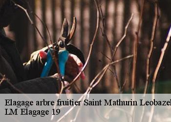 Elagage arbre fruitier 19430