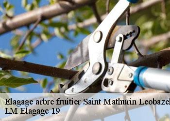 Elagage arbre fruitier 19430