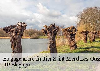 Elagage arbre fruitier saint-merd-les-oussines-19170 JP Elagage