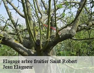 Elagage arbre fruitier saint-robert-19310 Jean Elagueur