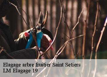 Elagage arbre fruitier 19290