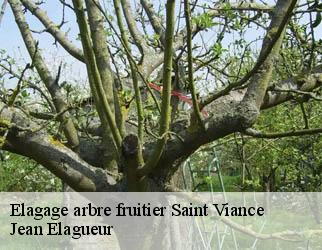 Elagage arbre fruitier  saint-viance-19240 Jean Elagueur