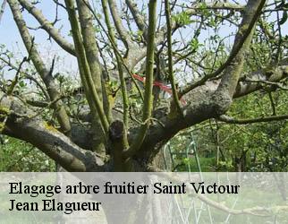 Elagage arbre fruitier saint-victour-19200 Jean Elagueur