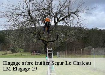 Elagage arbre fruitier segur-le-chateau-19230 LM Elagage 19