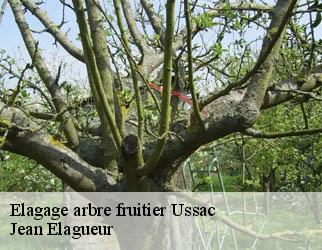 Elagage arbre fruitier  ussac-19270 Jean Elagueur