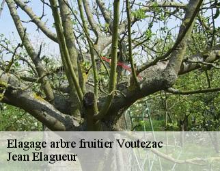 Elagage arbre fruitier voutezac-19130 Jean Elagueur