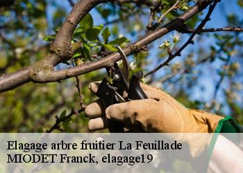 Elagage arbre fruitier  la-feuillade-19600 MIODET Franck, elagage19
