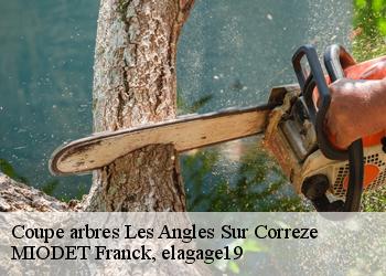 Coupe arbres  les-angles-sur-correze-19000 MIODET Franck, elagage19
