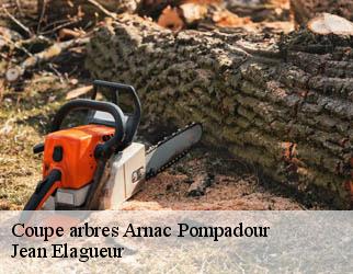 Coupe arbres arnac-pompadour-19230 Jean Elagueur