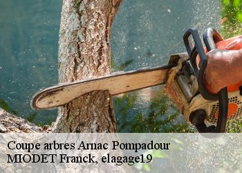 Coupe arbres  arnac-pompadour-19230 MIODET Franck, elagage19